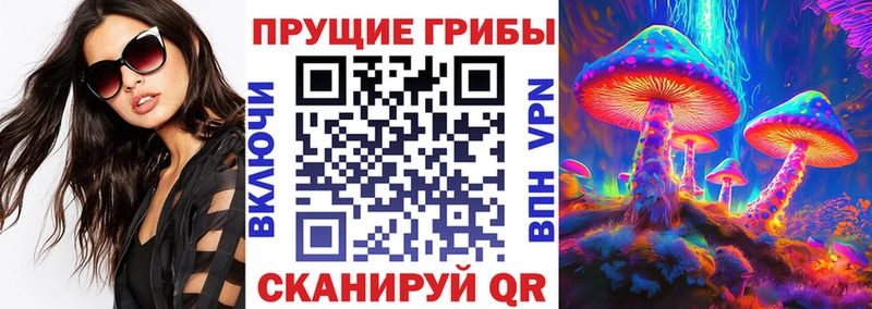 Псилоцибиновые грибы прущие грибы  сколько стоит  Устюжна 